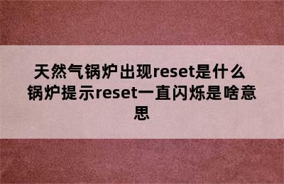 天然气锅炉出现reset是什么 锅炉提示reset一直闪烁是啥意思